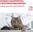 Royal Canin Fibre Response лечебный корм для кошек при нарушениях пищеварения