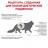 Royal Canin Urinary S/O Moderate Calorie лечебный корм для кошек для профилактики мочекаменной болезни