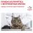 Royal Canin Urinary S/O Moderate Calorie лечебный корм для кошек для профилактики мочекаменной болезни