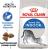 Royal Canin Indoor сухой корм для домашних кошек