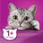 Whiskas влажный корм для кошек, паштет с говядиной и печенью