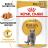 Royal Canin British Shorthair Adult влажный корм для кошек британской короткошерстной породы в соусе