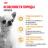 Royal Canin Chihuahua сухой корм для собак породы чихуахуа старше 8 месяцев