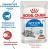 Royal Canin Indoor Sterilised 7+ влажный корм для стареющих кошек, постоянно живущих в помещении, соус