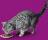 Whiskas влажный корм для кошек рагу с телятиной