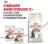 Royal Canin Ageing 12+ влажный корм для пожилых кошек всех пород, мелкие кусочки в соусе