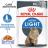 Royal Canin Ultra Light влажный корм для кошек, склонных к полноте в желе