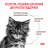 Сухой корм Royal Canin GASTROINTESTINAL KITTEN для котят от 2 до 10 месяяцев