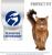 Perfect Fit корм для котят всех пород, с курицей