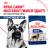 Royal Canin Maxi Adult сухой корм для собак крупных пород с 15 месяцев до 5 лет