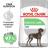 Royal Canin Maxi Digestive Care сухой корм для собак крупных пород с чувствительной пищеварительной системой
