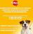 Pedigree корм для взрослых собак малых пород, говядина