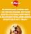 Pedigree корм для взрослых собак всех пород, говядина