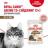 Royal Canin Ageing 12+ влажный корм для пожилых кошек всех пород, мелкие кусочки в соусе