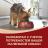 Сухой корм Purina ONE® МИНИ Здоровый вес для собак мелких пород, склонных к набору веса, с высоким содержанием индейки и с рисом