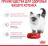 Royal Canin влажный корм для котят всех пород, в соусе