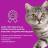 Whiskas влажный корм для кошек, аппетитный микс с уткой и печенью в мясном соусе