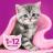 Whiskas влажный корм для котят, рагу с курицей
