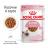 Royal Canin Kitten Instinctive влажный корм для котят от 4 до 12 месяцев в соусе