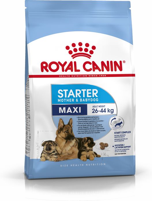 Royal Canin Maxi Starter сухой корм для щенков крупных пород с 3 недель до 2 месяцев