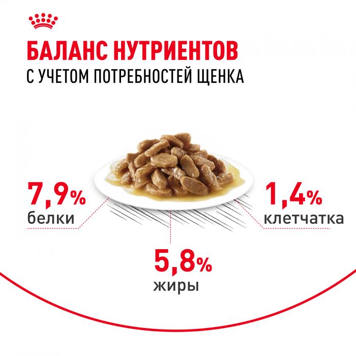 Royal Canin Mini Puppy влажный корм для щенков малых пород с 2 до 10 месяцев