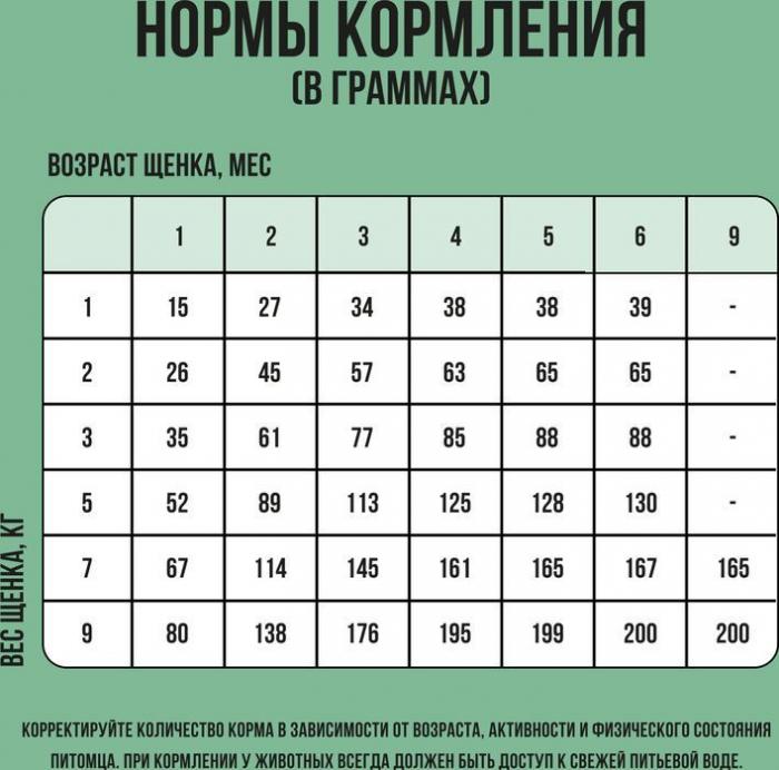 Bowl Wow корм для щенков малых пород, с индейкой, рисом и добавлением шпината