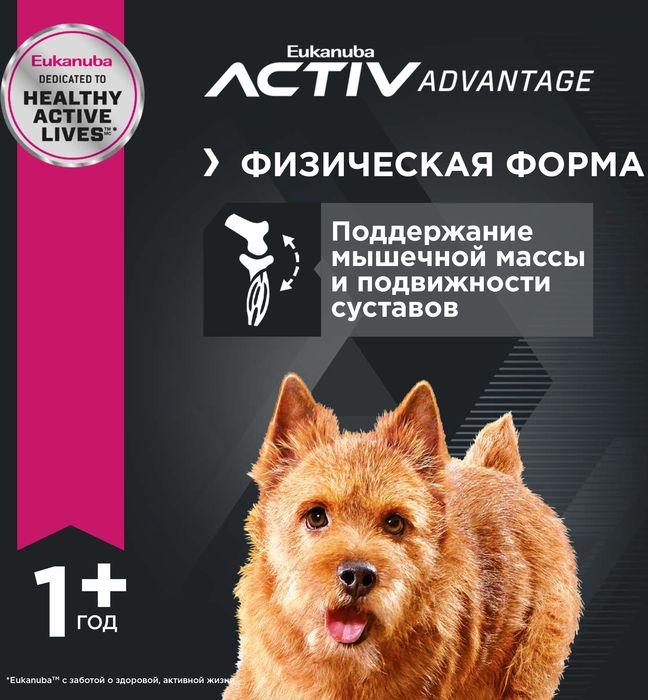Eukanuba сухой корм для собак мелких пород с курицей