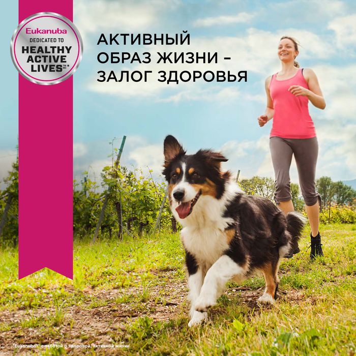 Eukanuba Adult Medium Breed сухой корм для собак средних пород с курицей