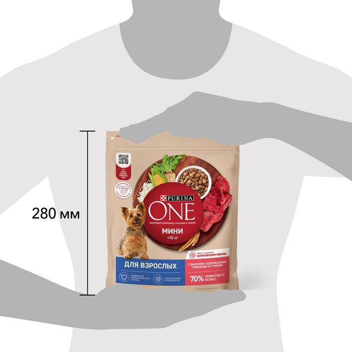 Сухой корм Purina ONE® для взрослых собак мелких и карликовых пород, с высоким содержанием говядины и с рисом