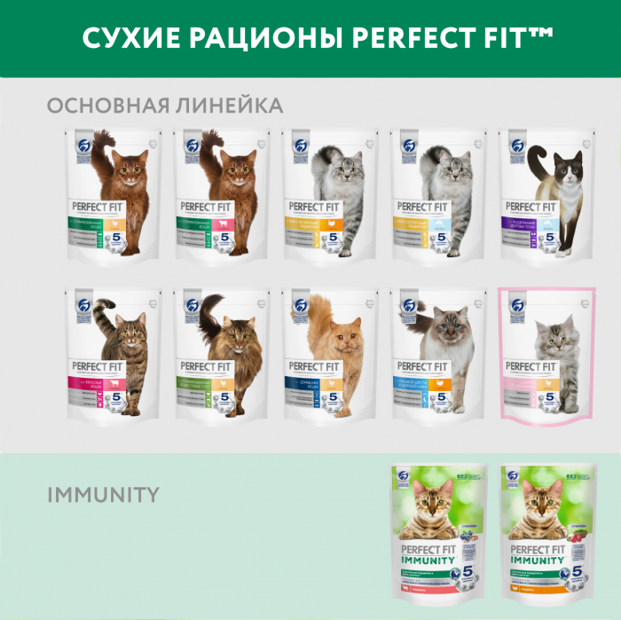 Perfect Fit Immunity корм для кошек, для поддержания иммунитета, с индейкой и добавлением спирулины и клюквы