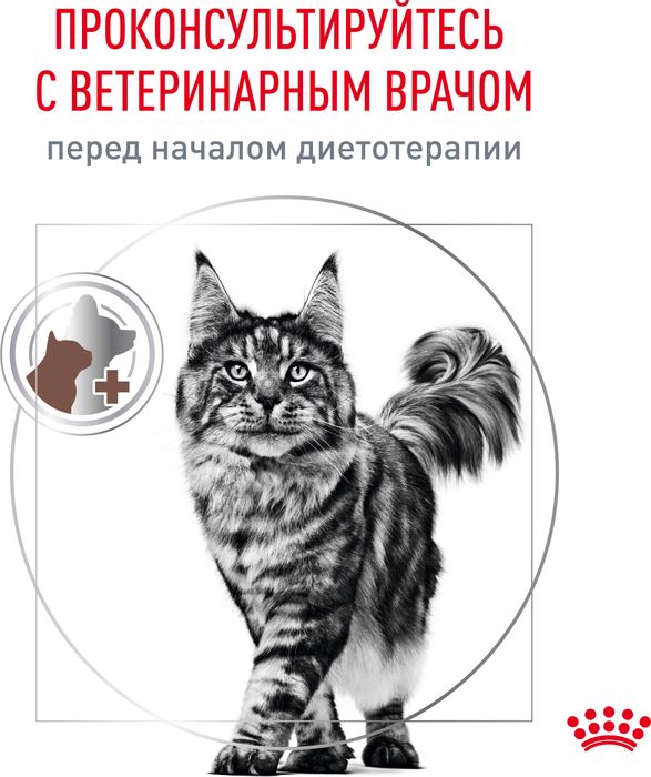 Royal Canin Gastrointestinal Moderate Calorie влажный корм для кошек, склонных к набору веса, при расстройствах пищеварения, мелкие кусочки в соусе