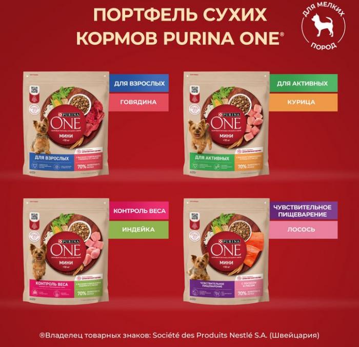 Сухой корм Purina ONE® МИНИ Здоровый вес для собак мелких пород, склонных к набору веса, с высоким содержанием индейки и с рисом