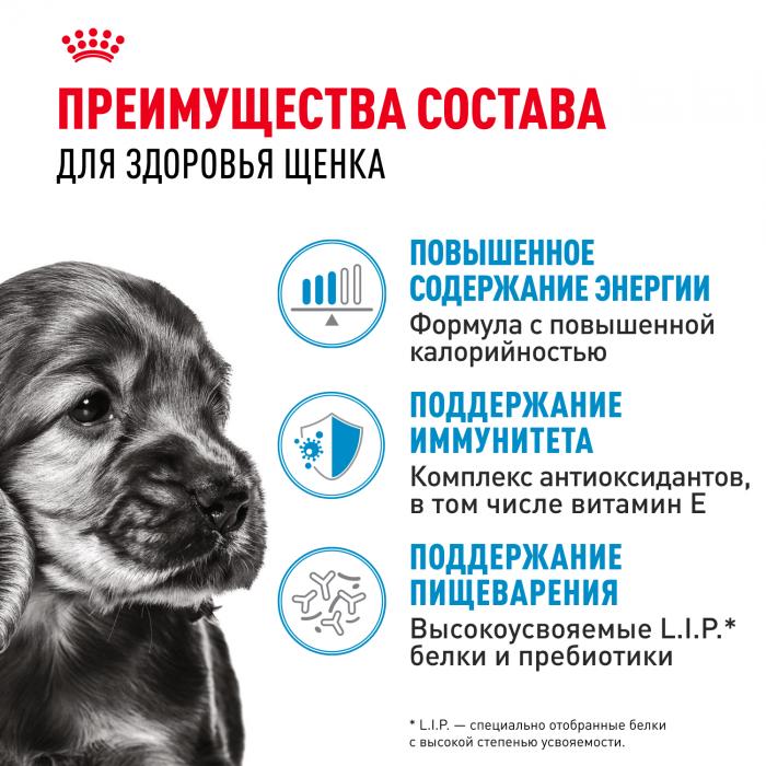 Royal Canin Mini Puppy влажный корм для щенков малых пород с 2 до 10 месяцев