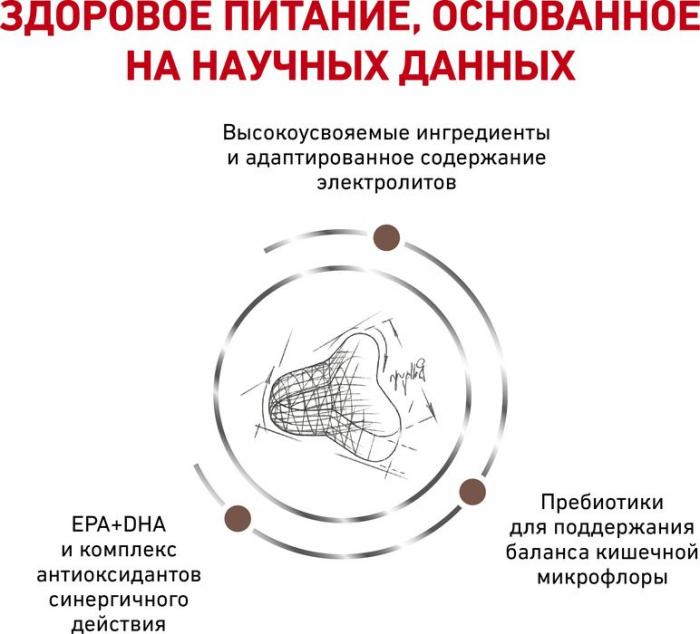 Royal Canin Fibre Response лечебный корм для кошек при нарушениях пищеварения