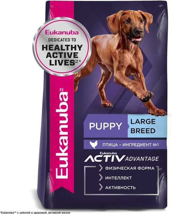 Eukanuba Puppy Large Breed сухой корм для щенков крупных пород с курицей