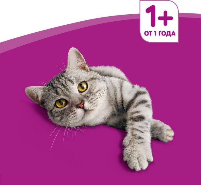 Whiskas влажный корм для кошек рагу с кроликом и индейкой