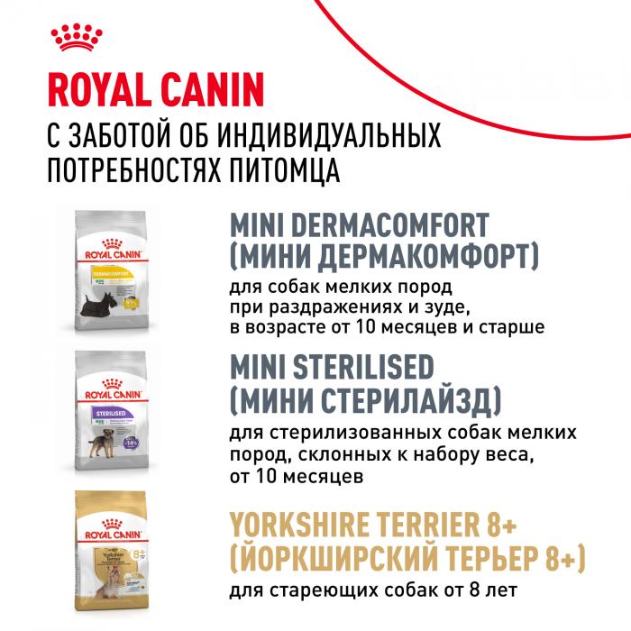 Royal Canin Yorkshire Terrier сухой корм для собак породы йоркширский терьер старше 10 месяцев