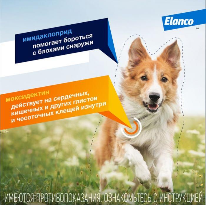 Elanco Адвокат капли для щенков и собак более 25 кг, от клещей, блох и гельминтов