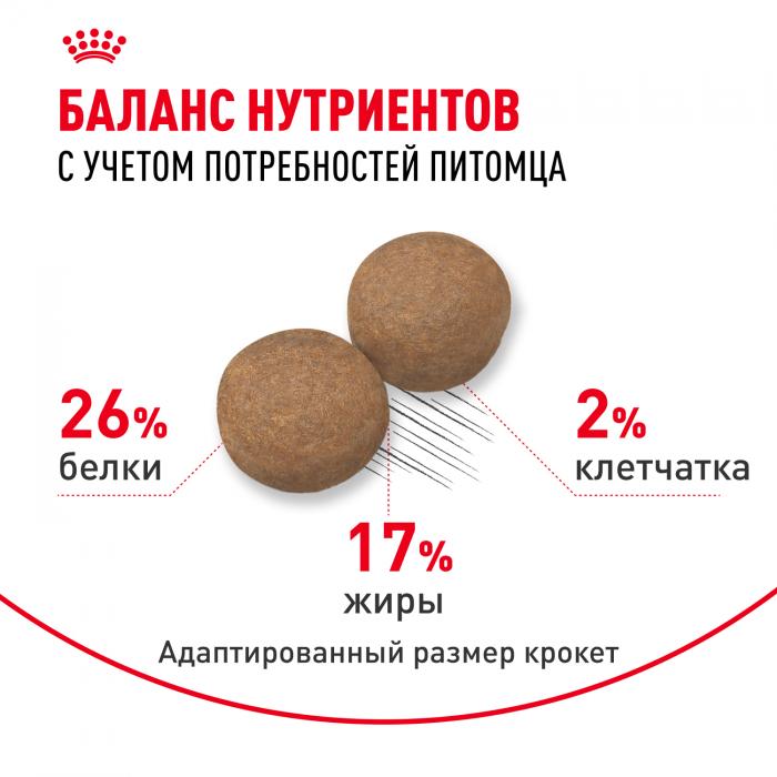Royal Canin Maxi Adult сухой корм для собак крупных пород с 15 месяцев до 5 лет