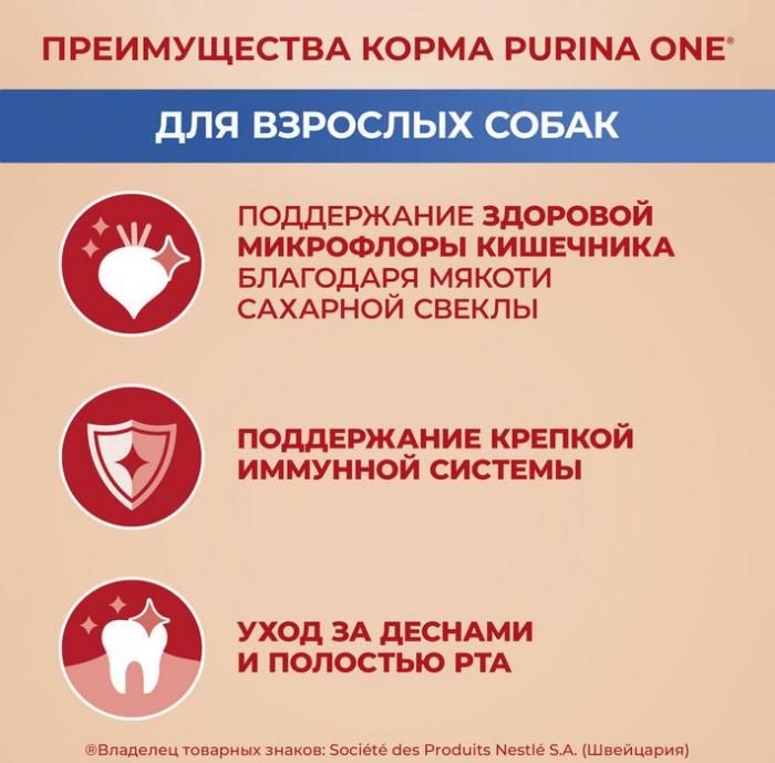 Сухой корм Purina ONE® для взрослых собак мелких и карликовых пород, с высоким содержанием говядины и с рисом