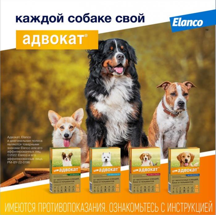 Elanco Адвокат капли для щенков и собак более 25 кг, от клещей, блох и гельминтов