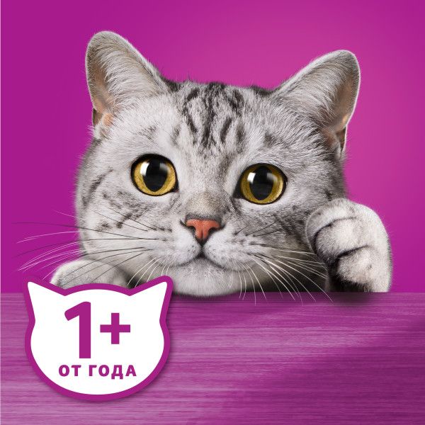 Whiskas влажный корм для кошек, аппетитный микс с уткой и печенью в мясном соусе
