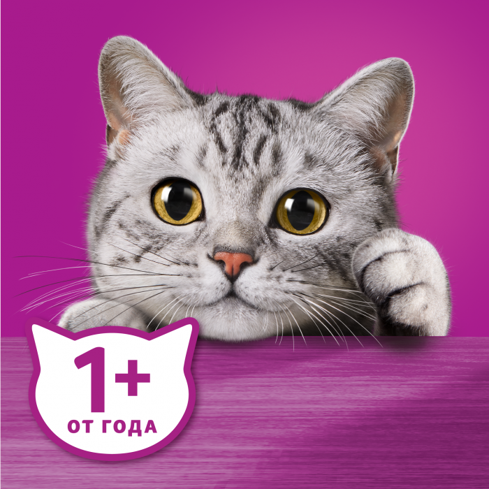 Whiskas влажный корм для кошек, паштет с говядиной и печенью