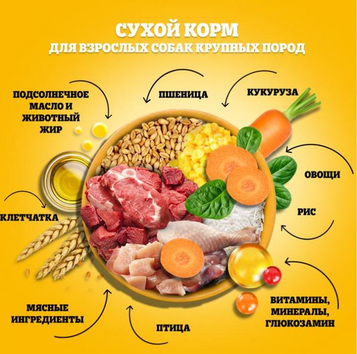 Pedigree сухой корм для собак крупных пород с говядиной, рисом и овощами
