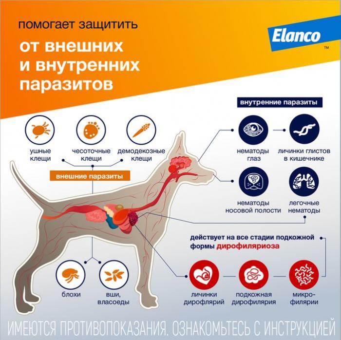Elanco Адвокат капли для щенков и собак более 25 кг, от клещей, блох и гельминтов