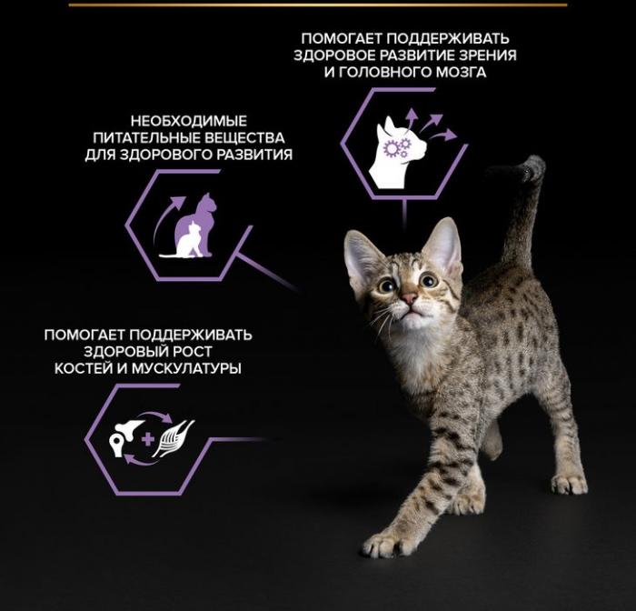 Влажный корм Pro Plan® Healthy Start для котят, с говядиной в соусе, с индейкой в соусе и с курицей в желе