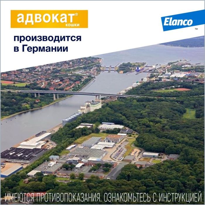 Elanco Адвокат капли для котят и кошек до 4 кг, от клещей и блох
