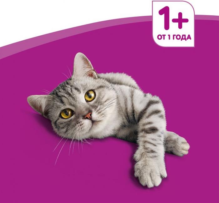 Whiskas влажный корм для кошек аппетитный микс с креветкам и лососем со сливочным соусом