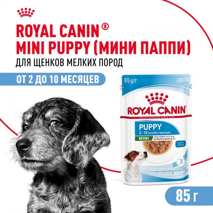 Royal Canin Mini Puppy влажный корм для щенков малых пород с 2 до 10 месяцев
