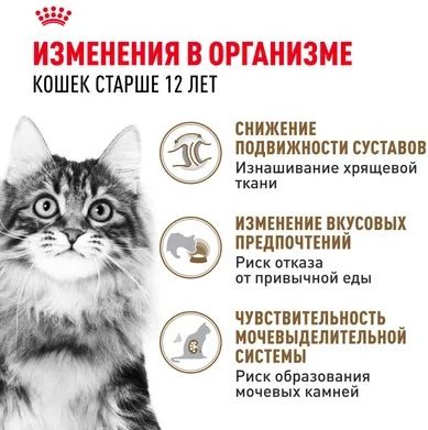 Royal Canin Ageing 12+ влажный корм для пожилых кошек всех пород, мелкие кусочки в соусе